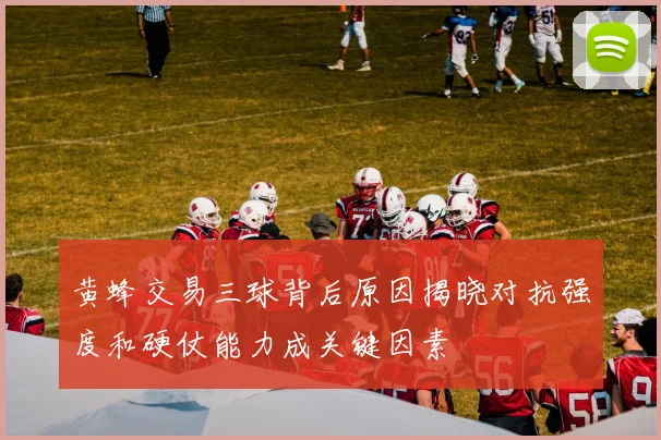 黄蜂交易三球背后原因揭晓对抗强度和硬仗能力成关键因素